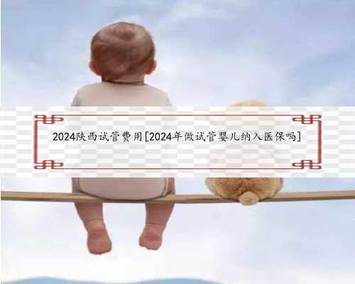 2024陕西试管费用[2024年做试管婴儿纳入医